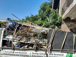 Best Attic Cleanout  in Canyon Day, AZ